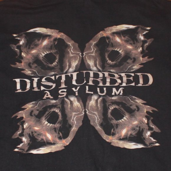 (2010) Disturbed Asylum Tour - Picture 5 of 5